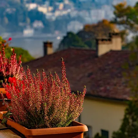 Olmo Cozystay アパート コモ